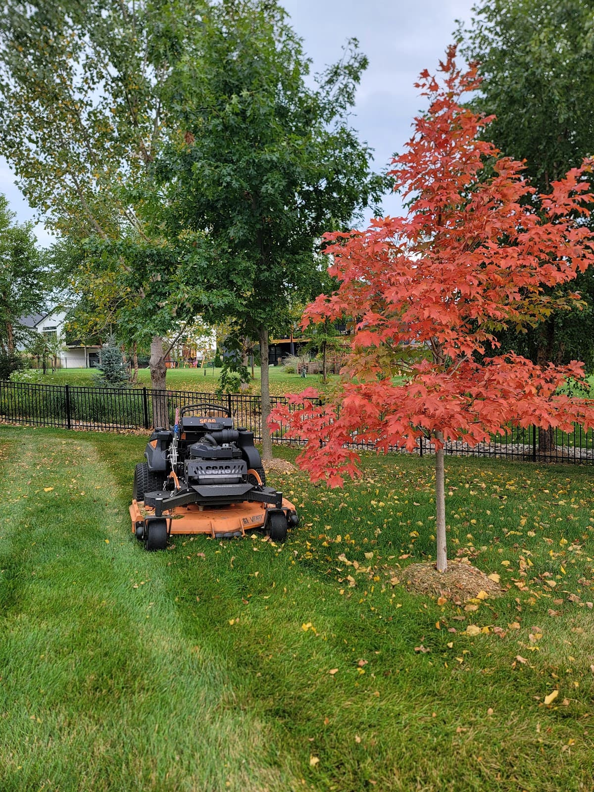 Lawn mowed by Venn Lawn Solutions (#7)