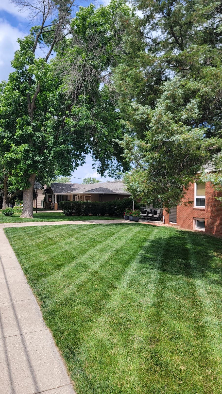 Lawn mowed by Venn Lawn Solutions (#12)