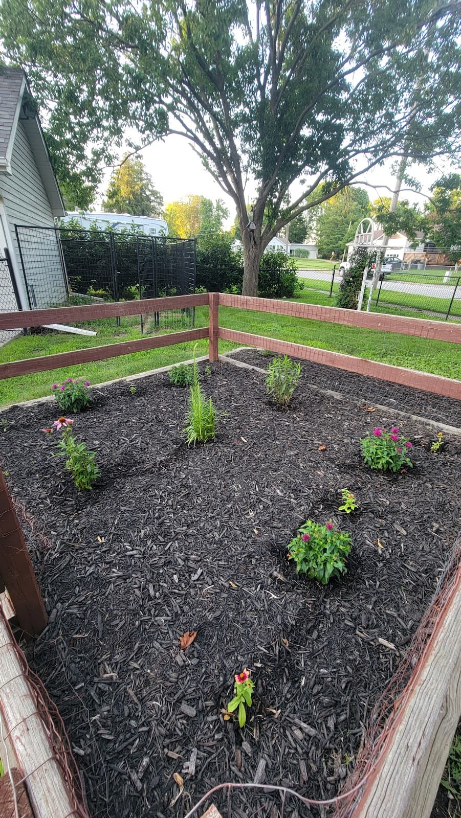 Lawn mowed by Venn Lawn Solutions (#13)