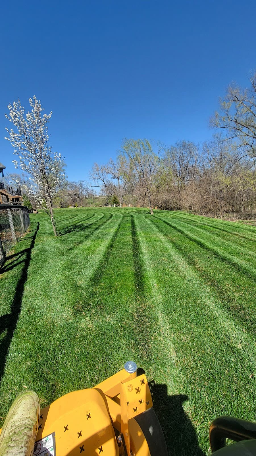 Lawn mowed by Venn Lawn Solutions (#14)