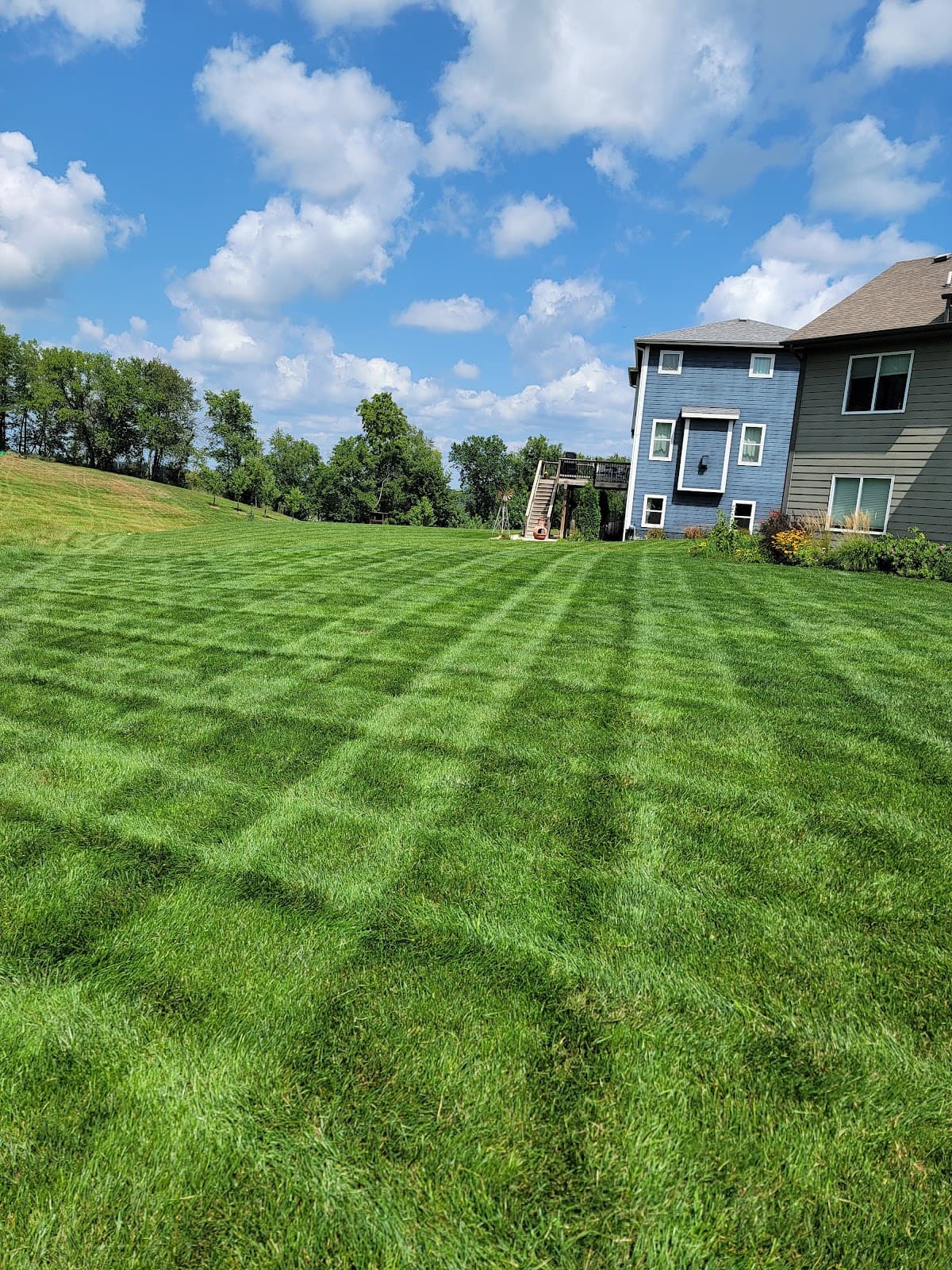 Lawn mowed by Venn Lawn Solutions (#21)