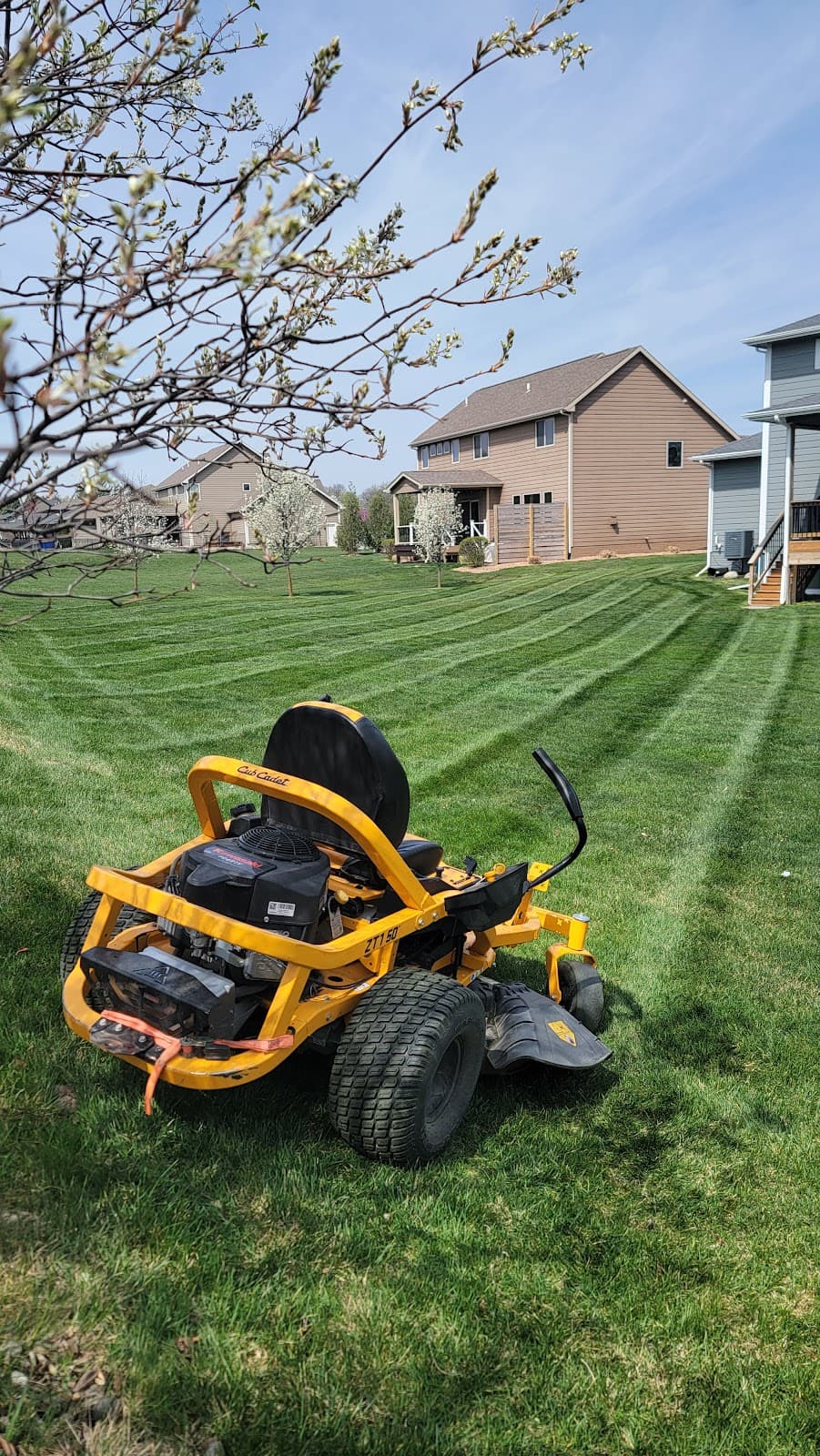 Lawn mowed by Venn Lawn Solutions (#23)