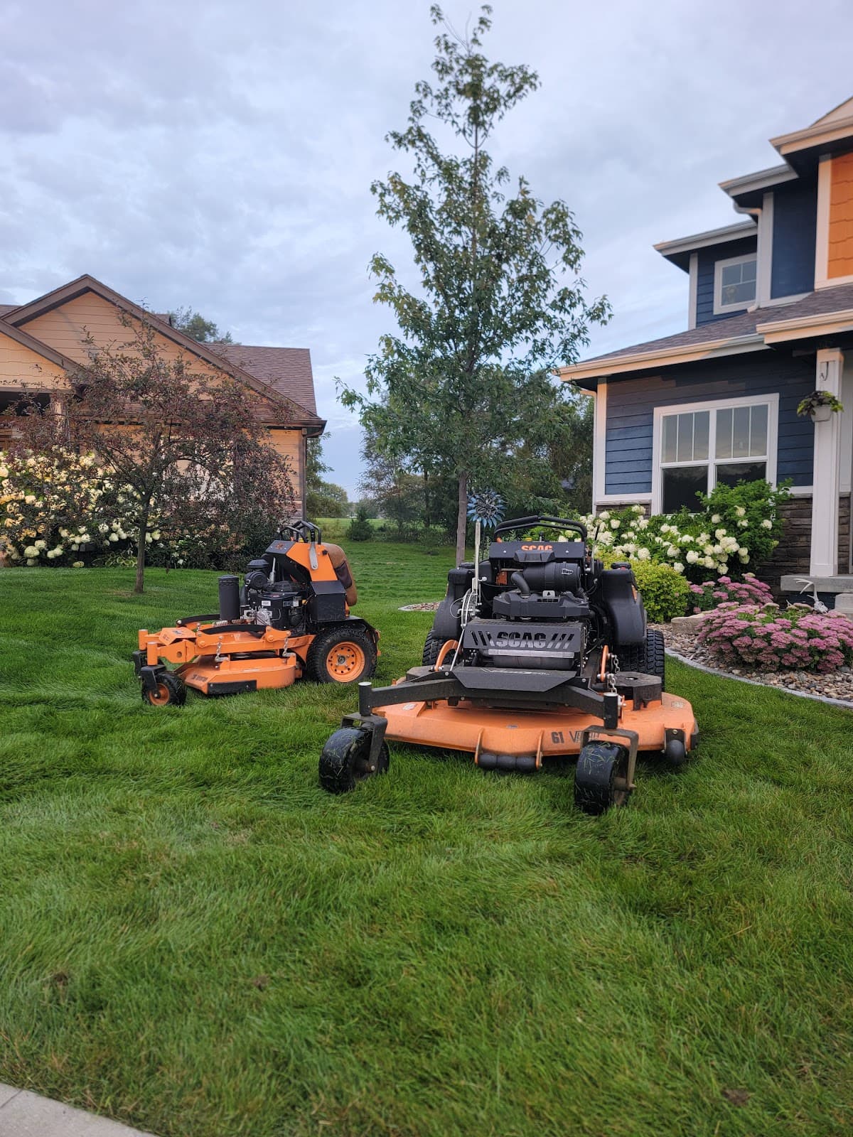 Lawn mowed by Venn Lawn Solutions (#29)