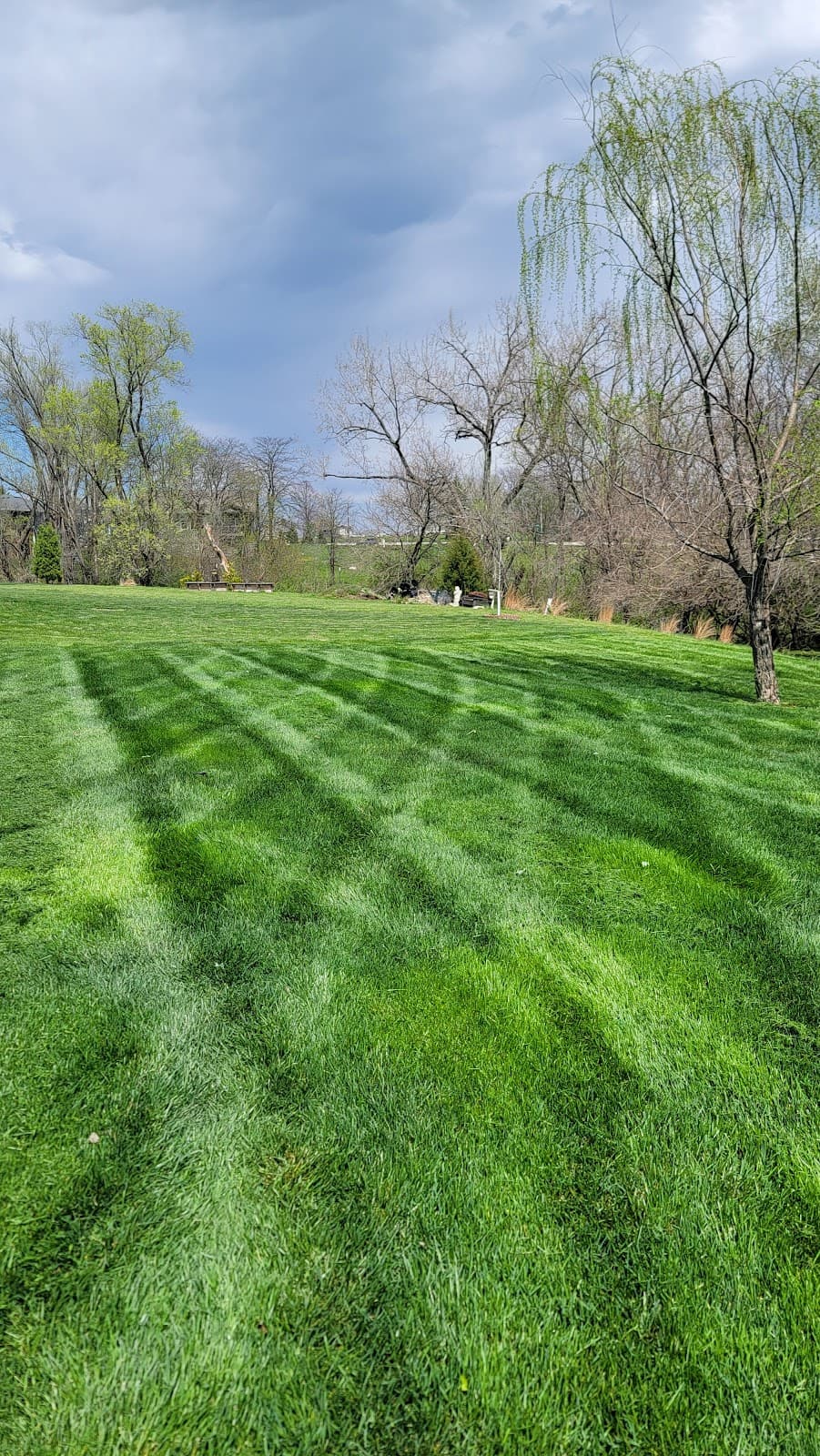 Lawn mowed by Venn Lawn Solutions (#32)