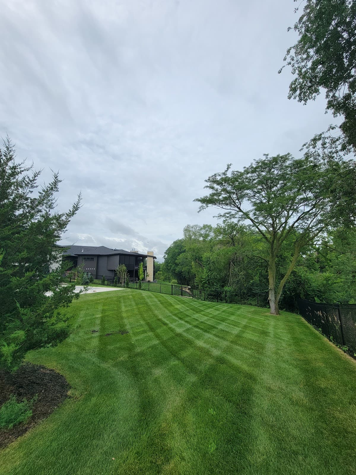 Lawn mowed by Venn Lawn Solutions (#34)