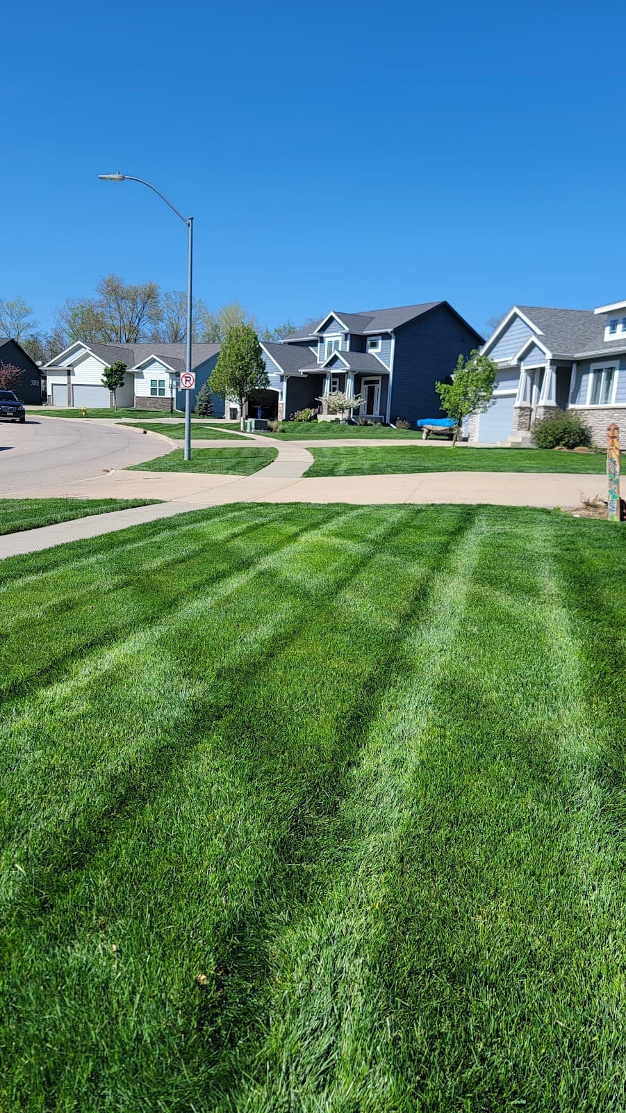 Lawn mowed by Venn Lawn Solutions (#38)