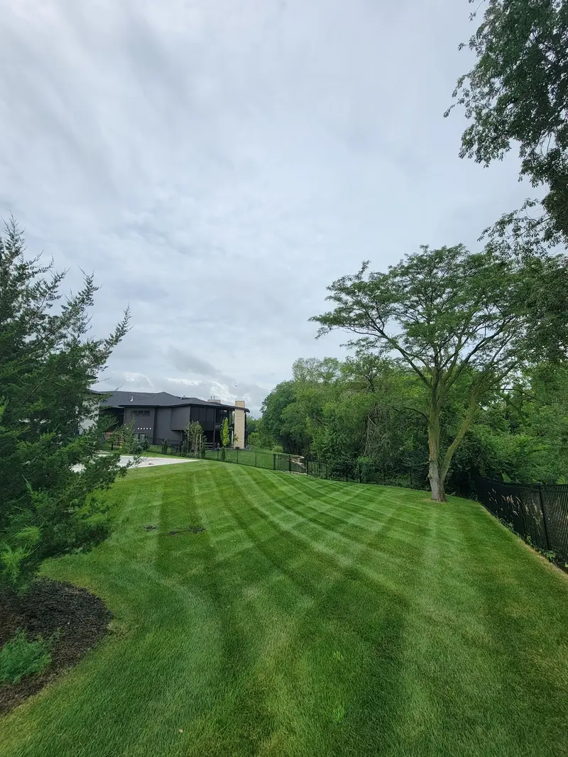Lawn mowed by Venn Lawn Solutions (#34)